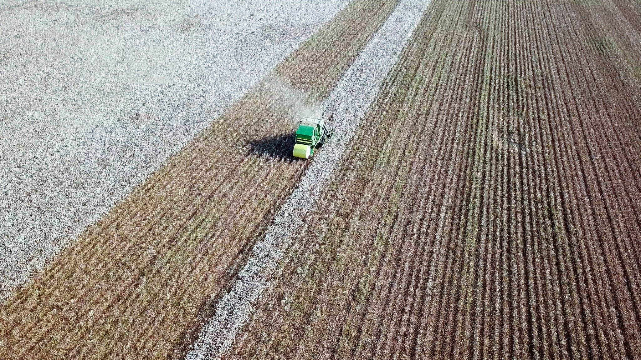 A balance between development and environmental protection – top quality Pima cotton - STELLAM