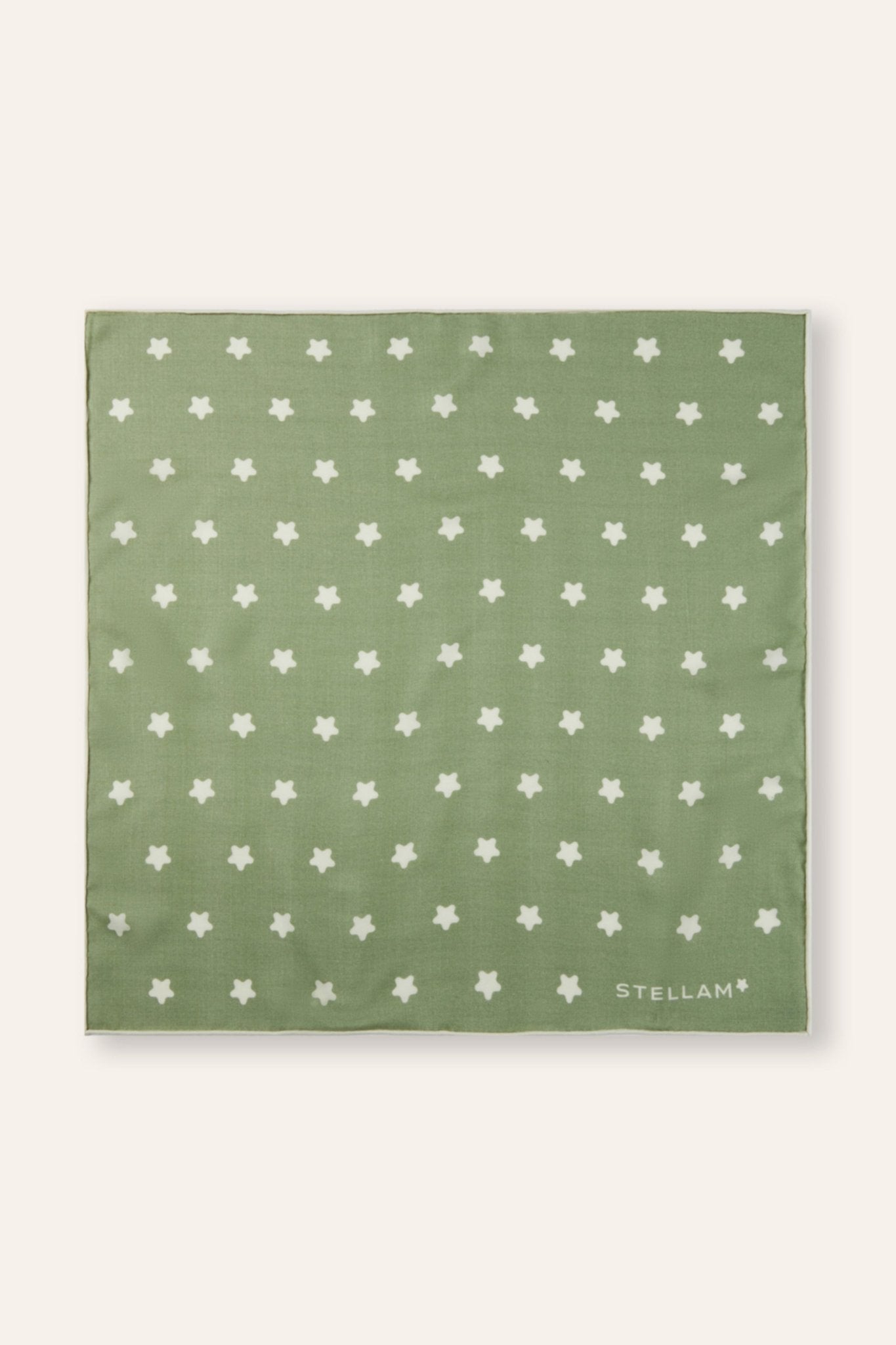 55cm silk-blended scarf (Sage) - STELLAM