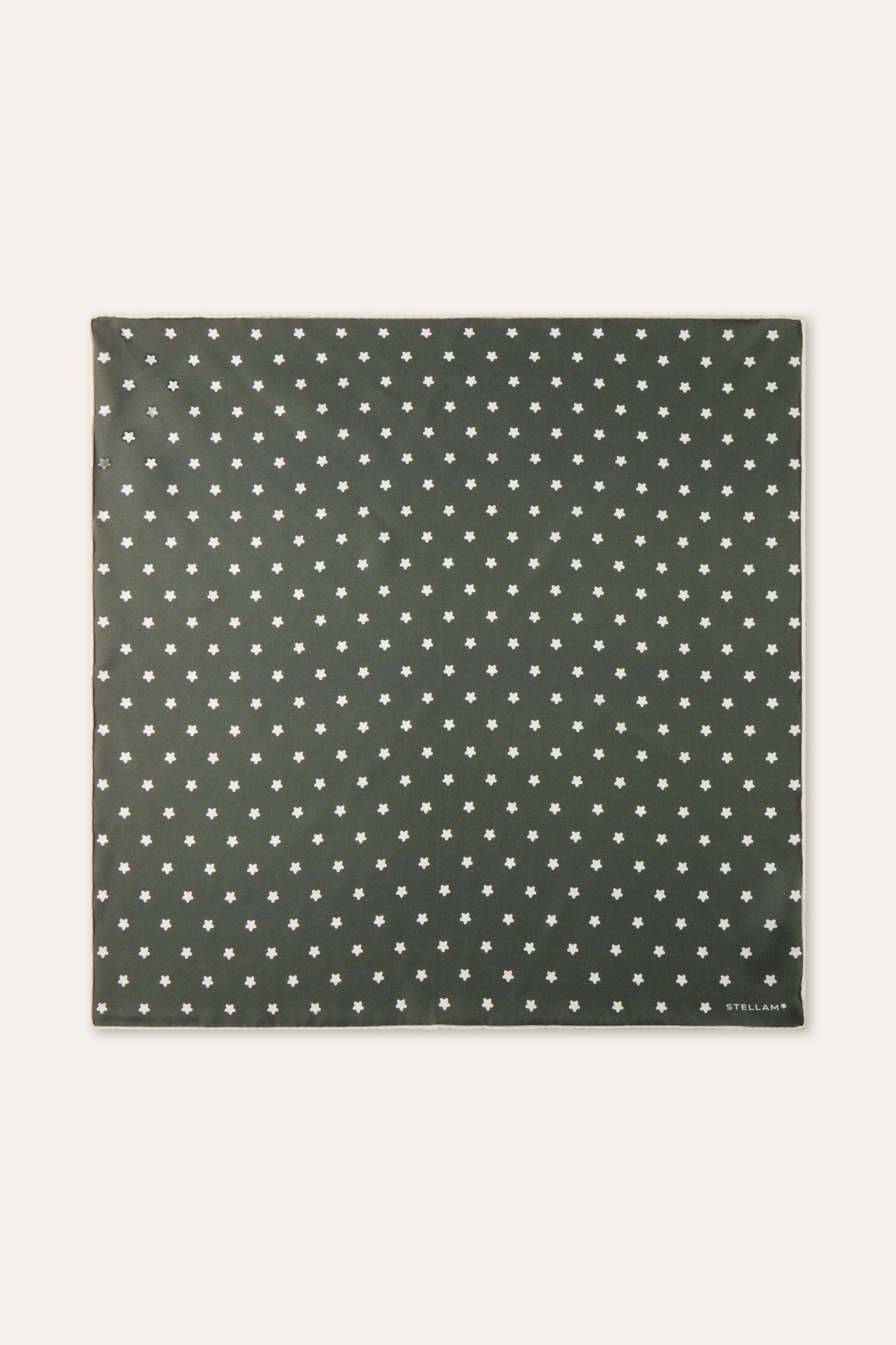 55cm silk scarf (Dark green) - STELLAM